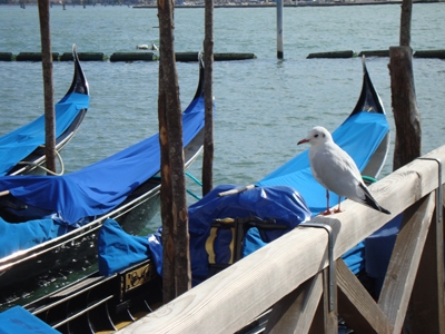 Gondeltocht Venetië: een trip om bij weg te dromen