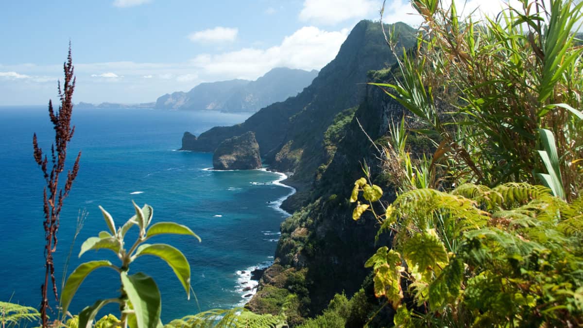 Drie redenen waarom Madeira de perfecte vakantiebestemming is