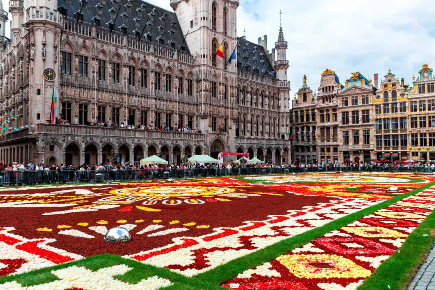 Brussel flowers